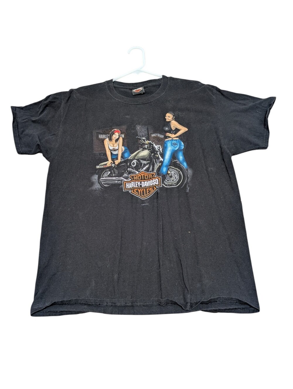 Harley-Davidson Men's Black T-Shirt with Motorcycle Graphic Zylstra MN (Large)